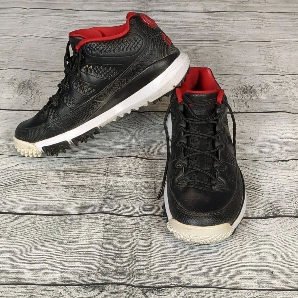 Jordan retro ix